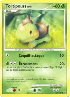 Tortipouss, Vainqueurs Suprêmes, n° 131