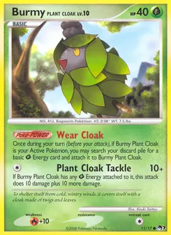 Cheniti Cape Plante, POP Série 7, n° 11