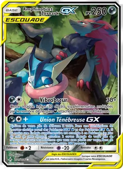 Amphinobi et Zoroark GX, Alliance Infaillible, n° 201