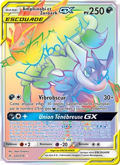 Amphinobi et Zoroark GX, Alliance Infaillible, n° 222