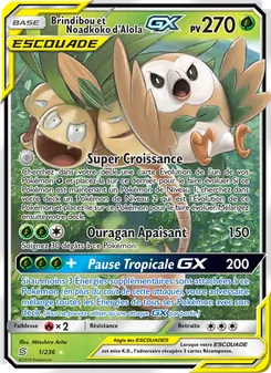 Brindibou et Noadkoko d’Alola GX, Harmonie des Esprits, n° 1