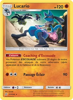 Lucario, Harmonie des Esprits, n° 117