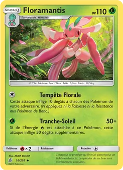 Floramantis, Harmonie des Esprits, n° 16