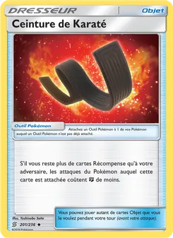 Ceinture de Karaté, Harmonie des Esprits, n° 201
