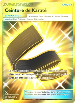 Ceinture de Karaté, Harmonie des Esprits, n° 252