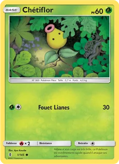 Chétiflor, Gardiens Ascendants, n° 1