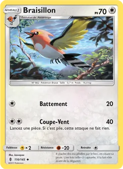 Braisillon, Gardiens Ascendants, n° 110