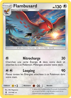 Flambusard, Gardiens Ascendants, n° 111