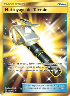 Nettoyage de Terrain, Gardiens Ascendants, n° 163