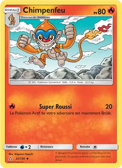 Chimpenfeu, Ultra-Prisme, n° 22