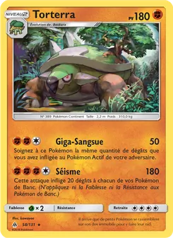 Torterra, Lumière Interdite, n° 58