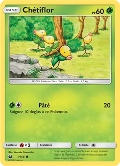 Chétiflor, Tempête Céleste, n° 1