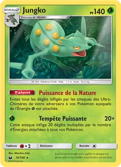 Jungko, Tempête Céleste, n° 10