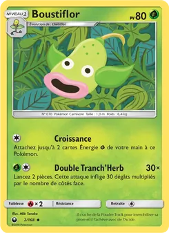 Boustiflor, Tempête Céleste, n° 2