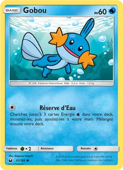 Gobou, Tempête Céleste, n° 32