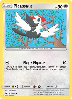 Picassaut, Tonnerre Perdu, n° 163
