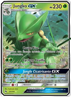 Jungko GX, Tonnerre Perdu, n° 22