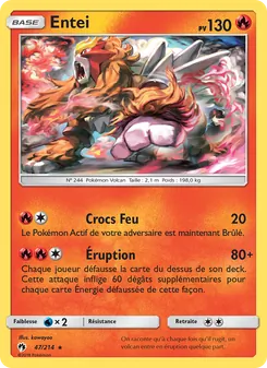 Entei, Tonnerre Perdu, n° 47