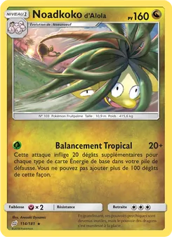 Noadkoko d’Alola, Duo de Choc, n° 114
