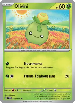 Olivini, Écarlate et Violet, n° 021