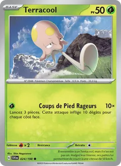 Terracool, Écarlate et Violet, n° 024