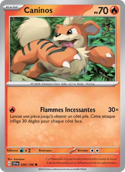 Caninos, Écarlate et Violet, n° 030