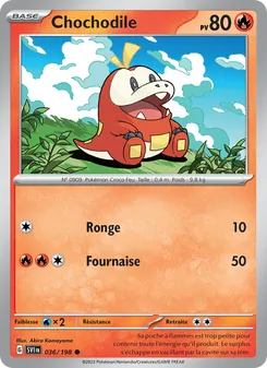 Chochodile, Écarlate et Violet, n° 036