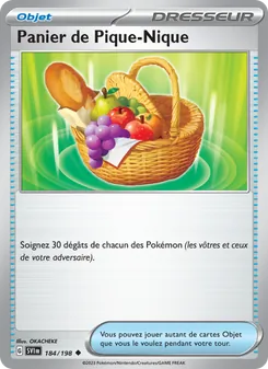 Panier de Pique-Nique, Écarlate et Violet, n° 184