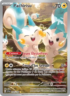 Pachirisu, Écarlate et Violet, n° 208