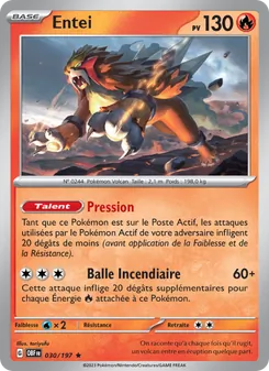 Entei, Flammes Obsidiennes, n° 030