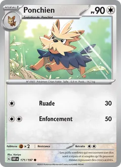 Ponchien, Flammes Obsidiennes, n° 171