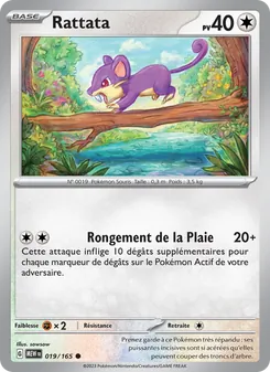 Rattata, 151, n° 019