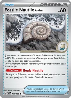 Fossile Nautile Ancien, 151, n° 153