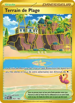Terrain de Plage, Faille Paradoxe, n° 263
