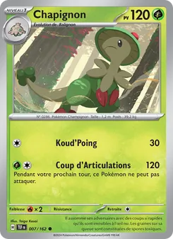 Chapignon, Forces Temporelles, n° 007