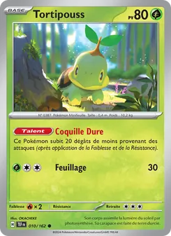 Tortipouss, Forces Temporelles, n° 010