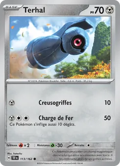 Terhal, Forces Temporelles, n° 113