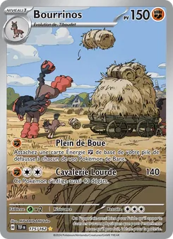 Bourrinos, Forces Temporelles, n° 175