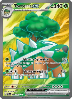 Torterra-ex, Forces Temporelles, n° 185