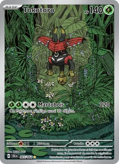 Tokotoro, Fable Nébuleuse, n° 065