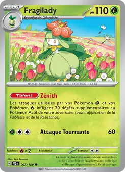 Fragilady, Aventures Ensemble, n° 007