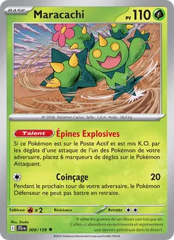 Maracachi, Aventures Ensemble, n° 008