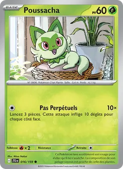 Poussacha, Aventures Ensemble, n° 016