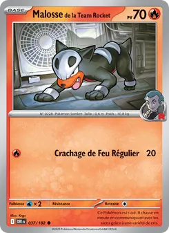 Malosse de la Team Rocket, Rivalités Destinées, n° 037