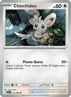 Chinchidou, Foudre Noire, n° 075