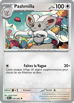 Pashmilla, Foudre Noire, n° 076
