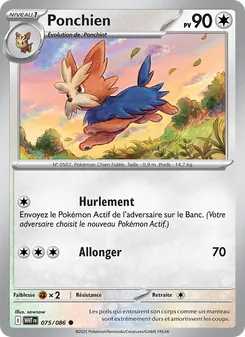 Ponchien, Flamme Blanche, n° 075