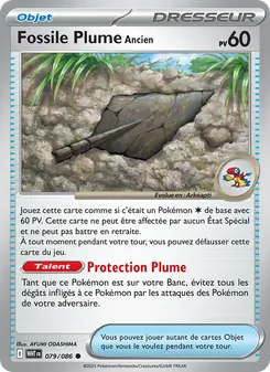 Fossile Plume Ancien, Flamme Blanche, n° 079