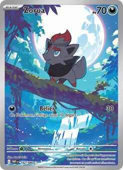 Zorua, Flamme Blanche, n° 142