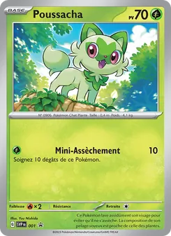 Poussacha, SVP Black Star Promos, n° 001